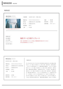 販売 サービス用　職務経歴書